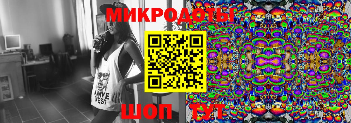 Псилоцибиновые грибы Psilocybe Звенигород
